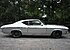 1969 Chevrolet Chevelle SS for sale 100990514